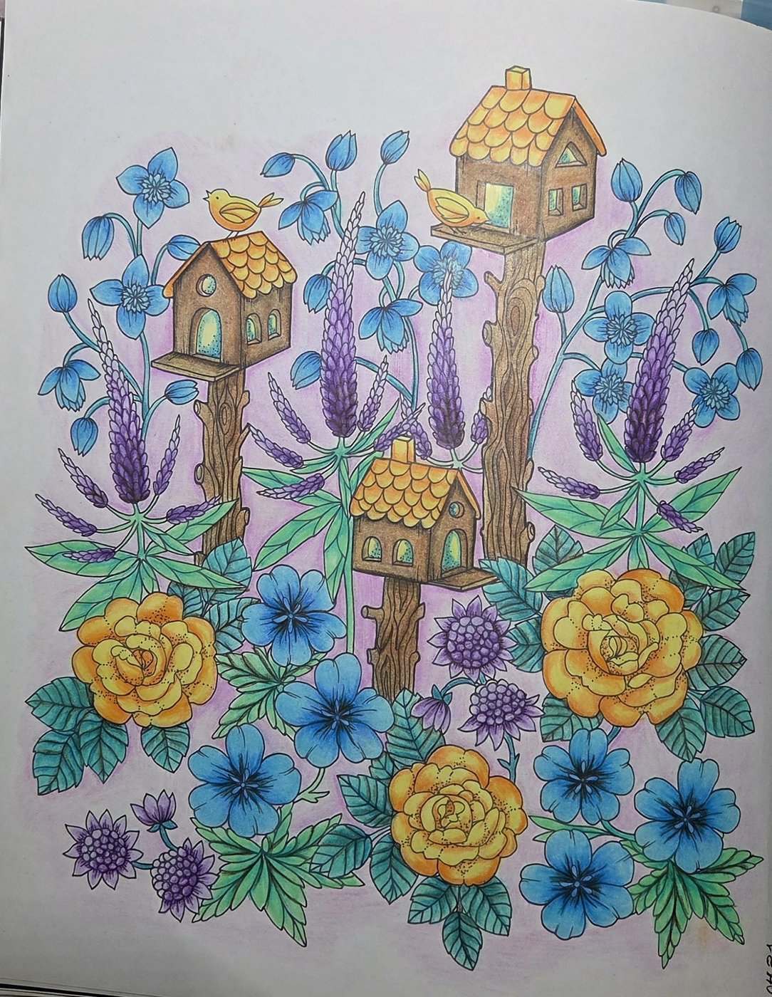 Работа от G_Lolli