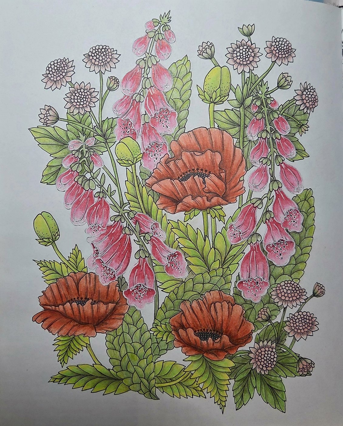 Работа от G_Lolli