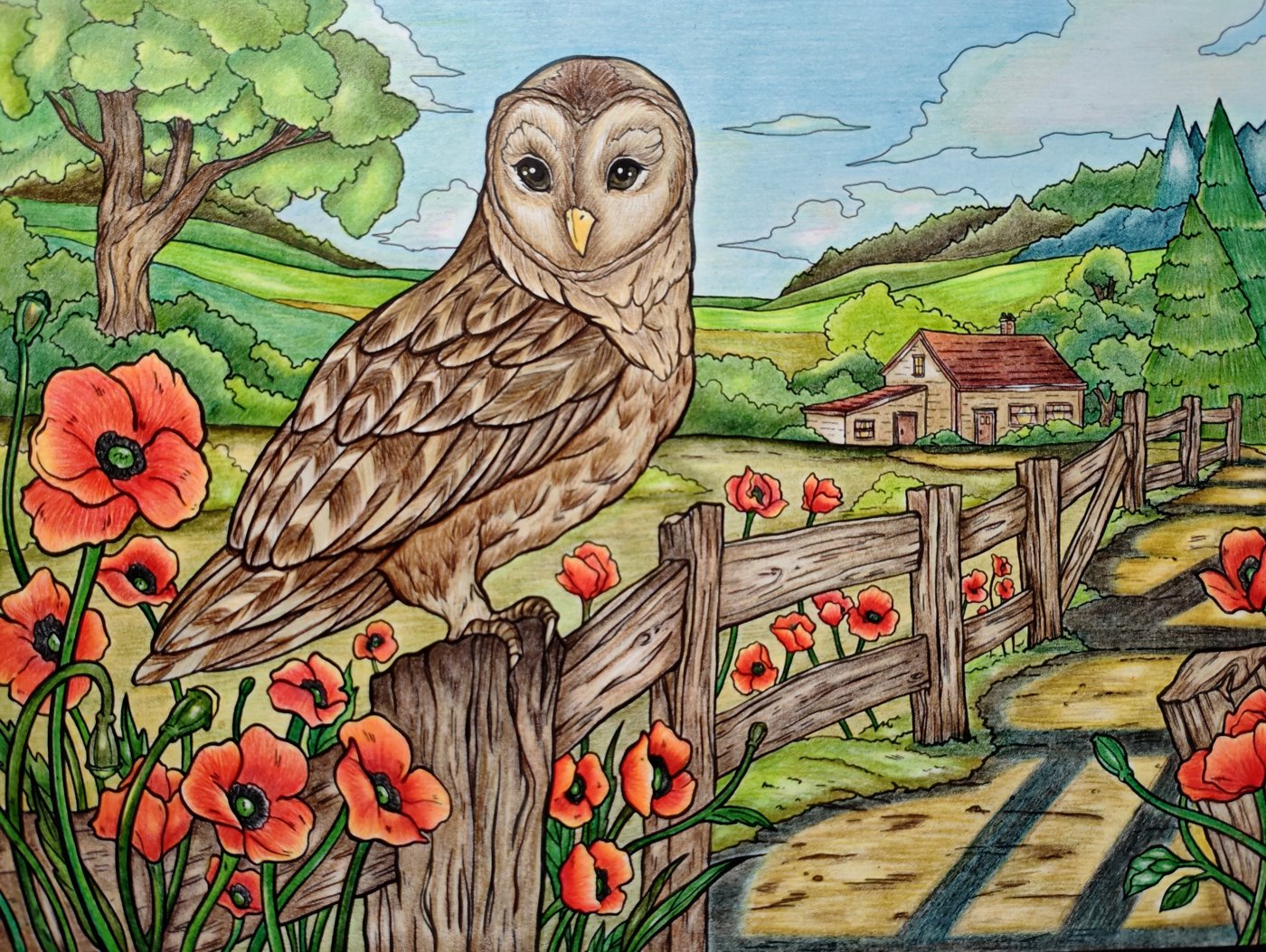 Работа от Meg Jazz