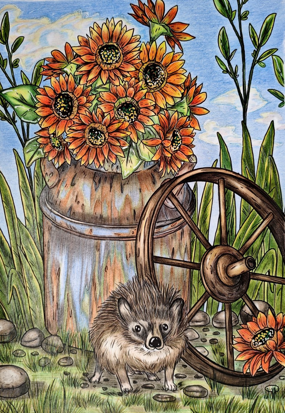 Работа от Meg Jazz