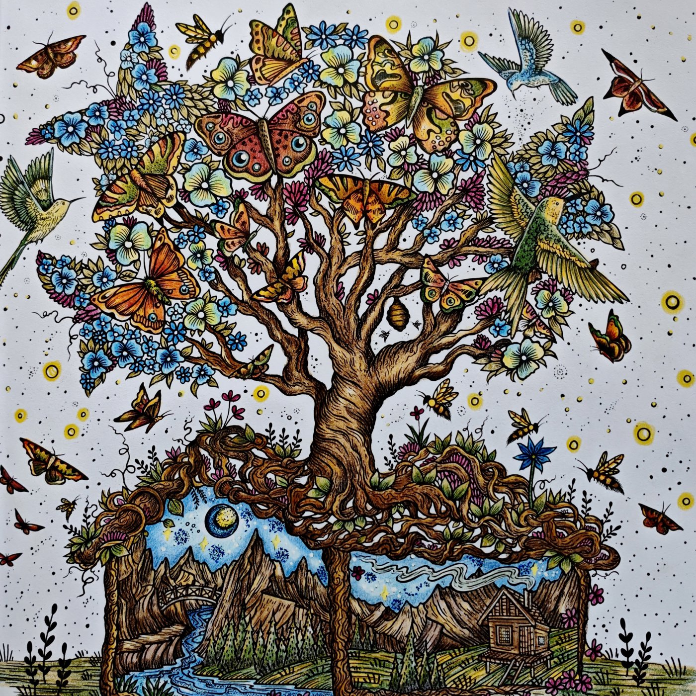 Работа от Meg Jazz