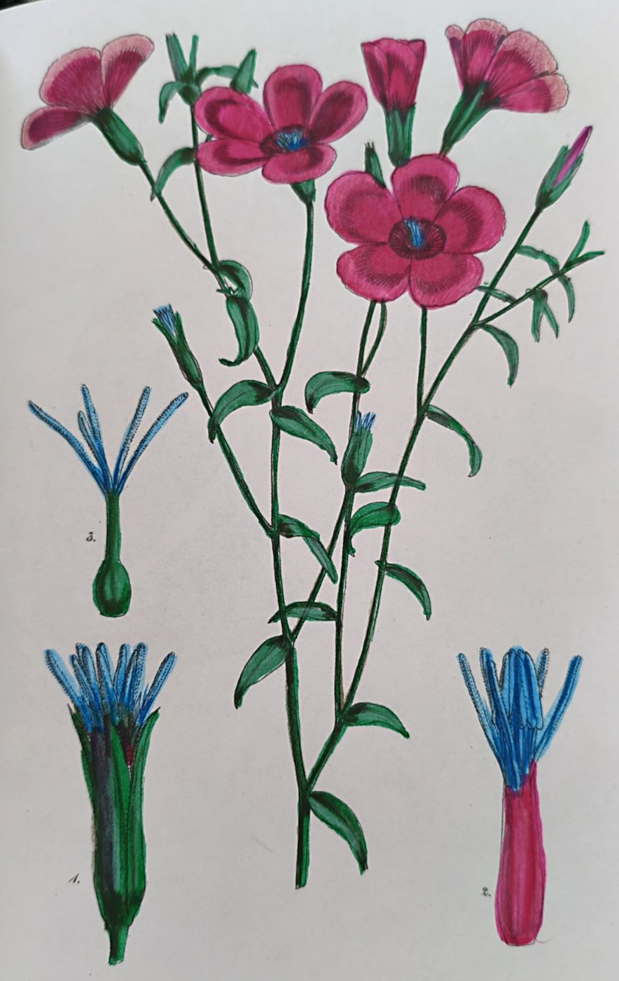 Работа от Лилия Понкратова