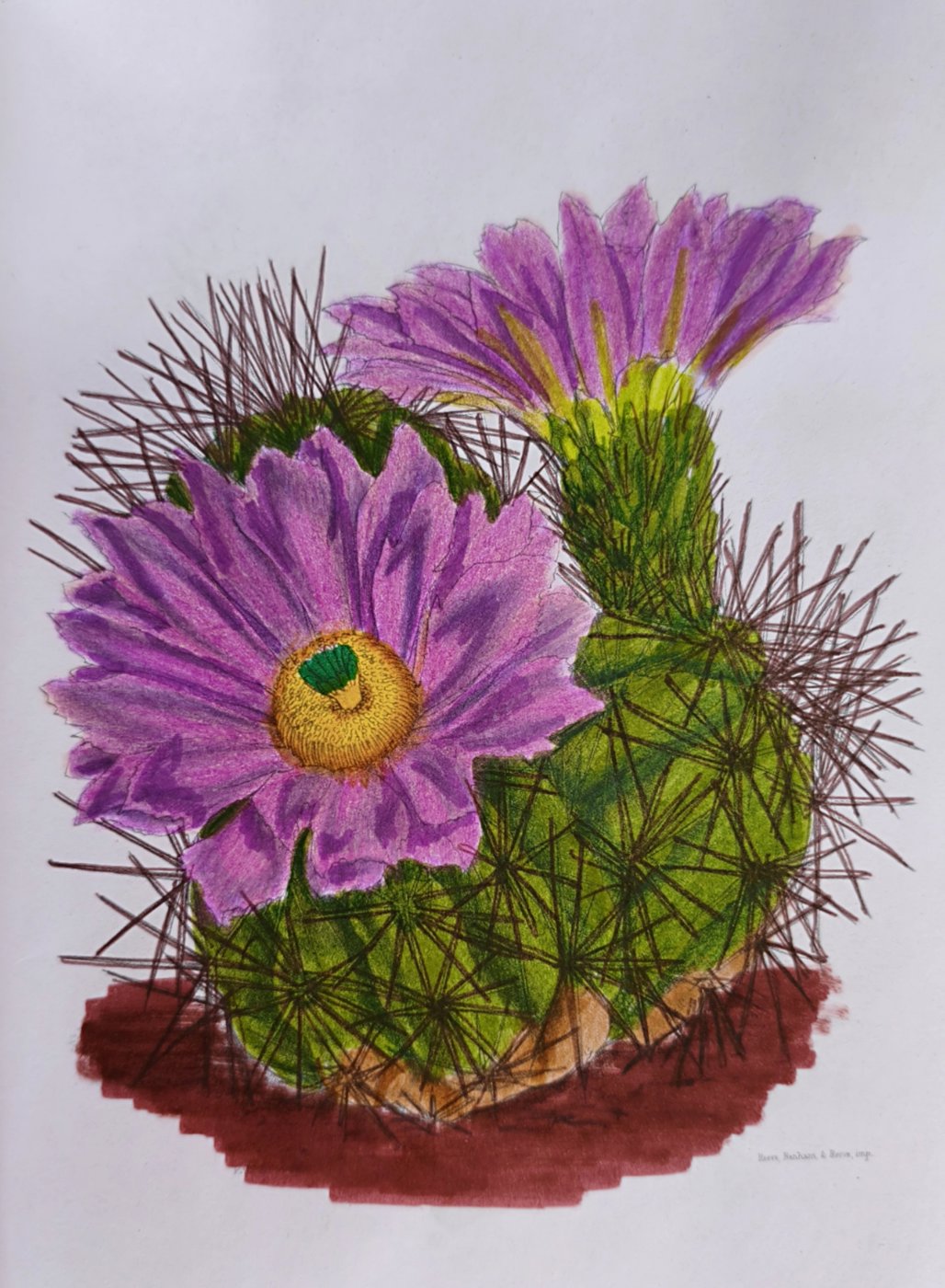 Работа от Лилия Понкратова