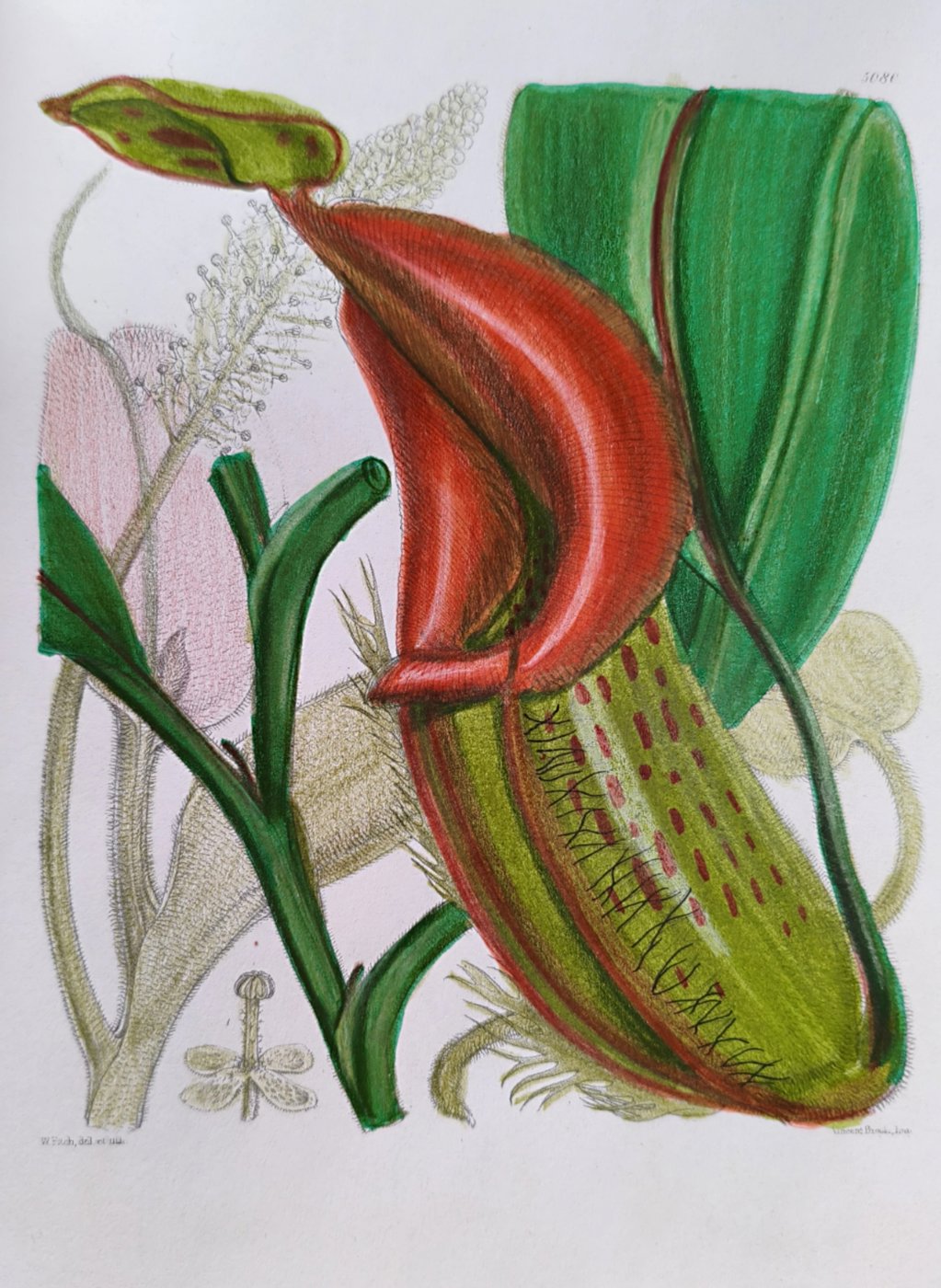 Работа от Лилия Понкратова