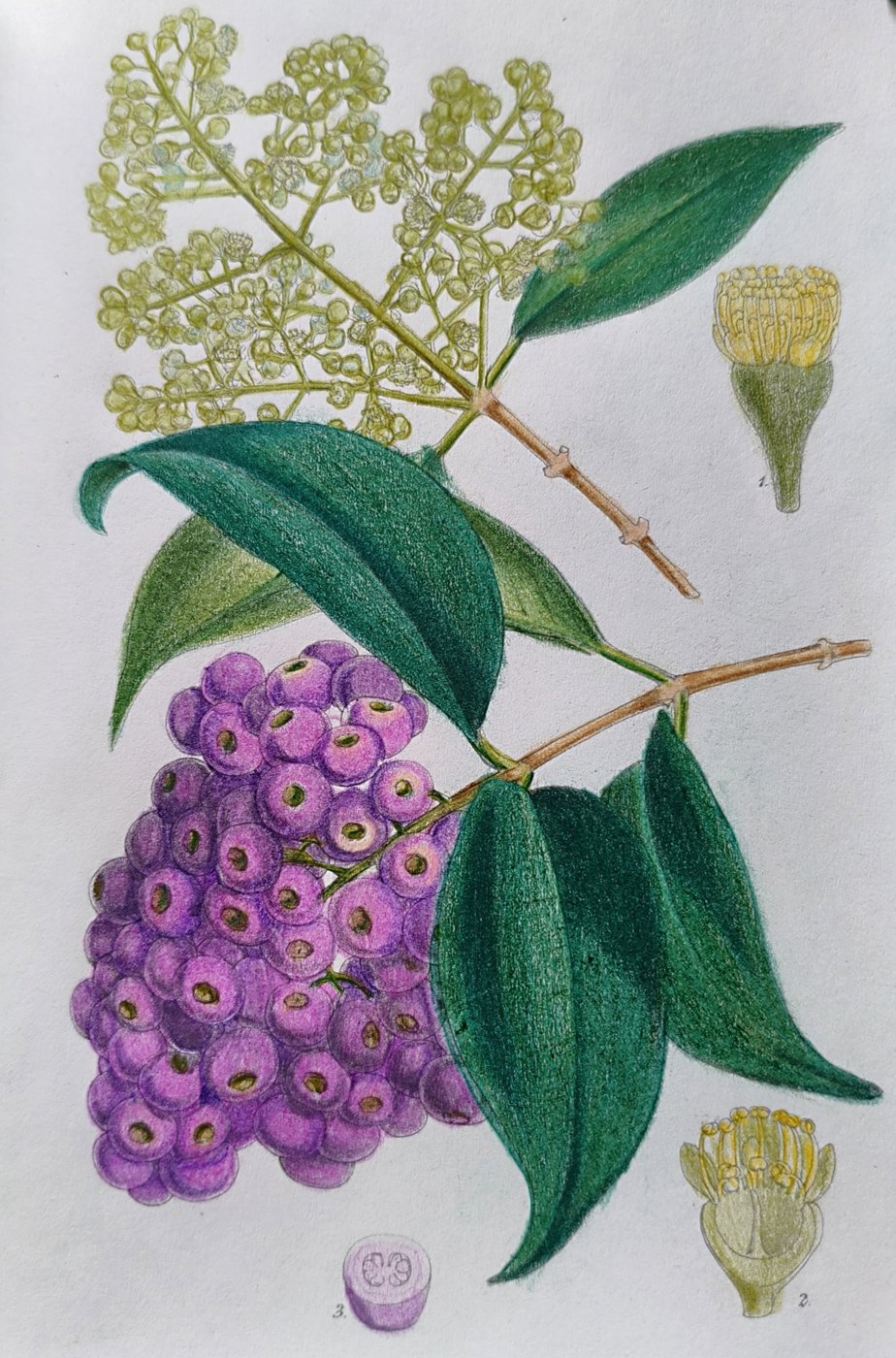 Работа от Лилия Понкратова