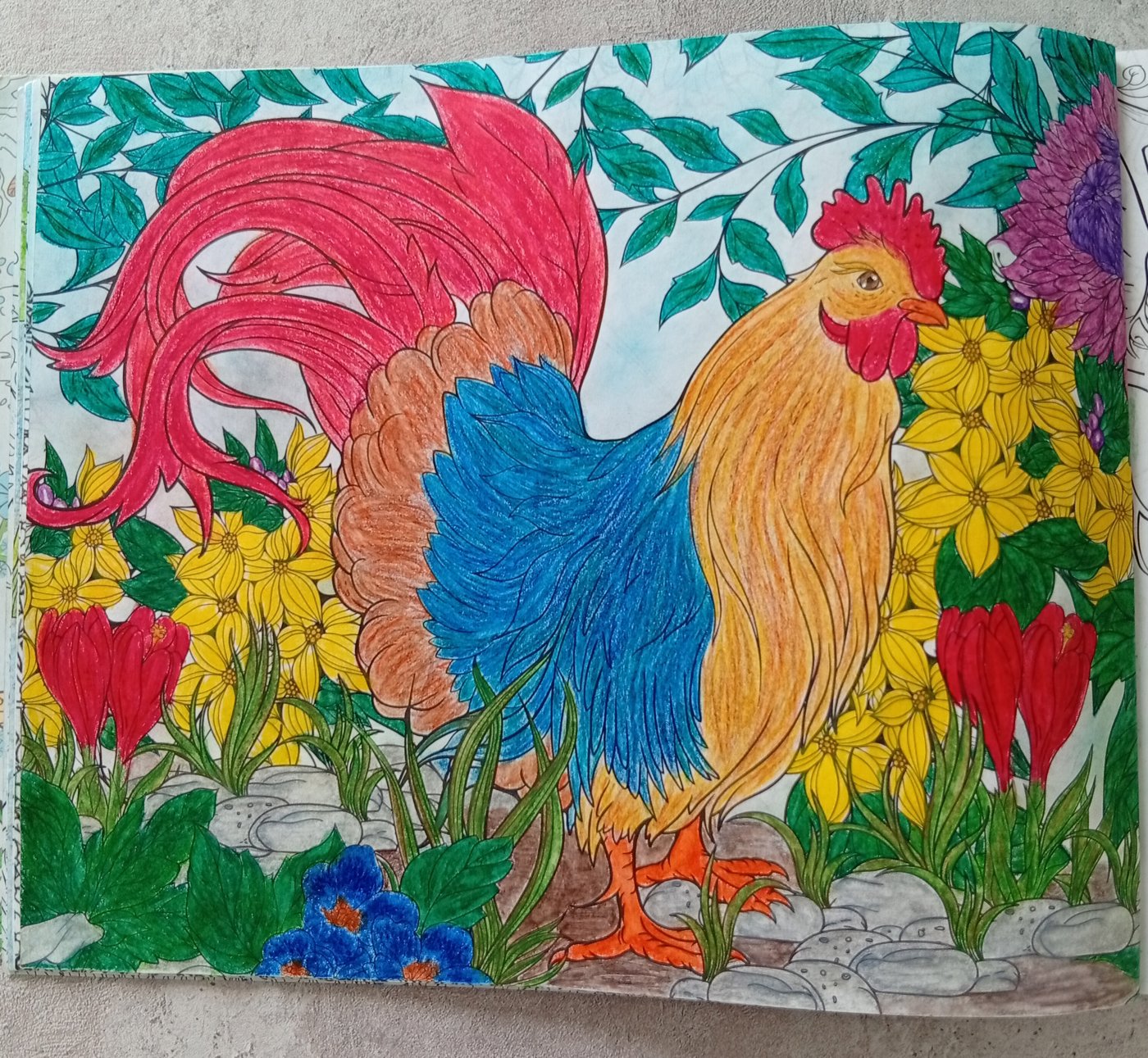 Работа от Эльвира