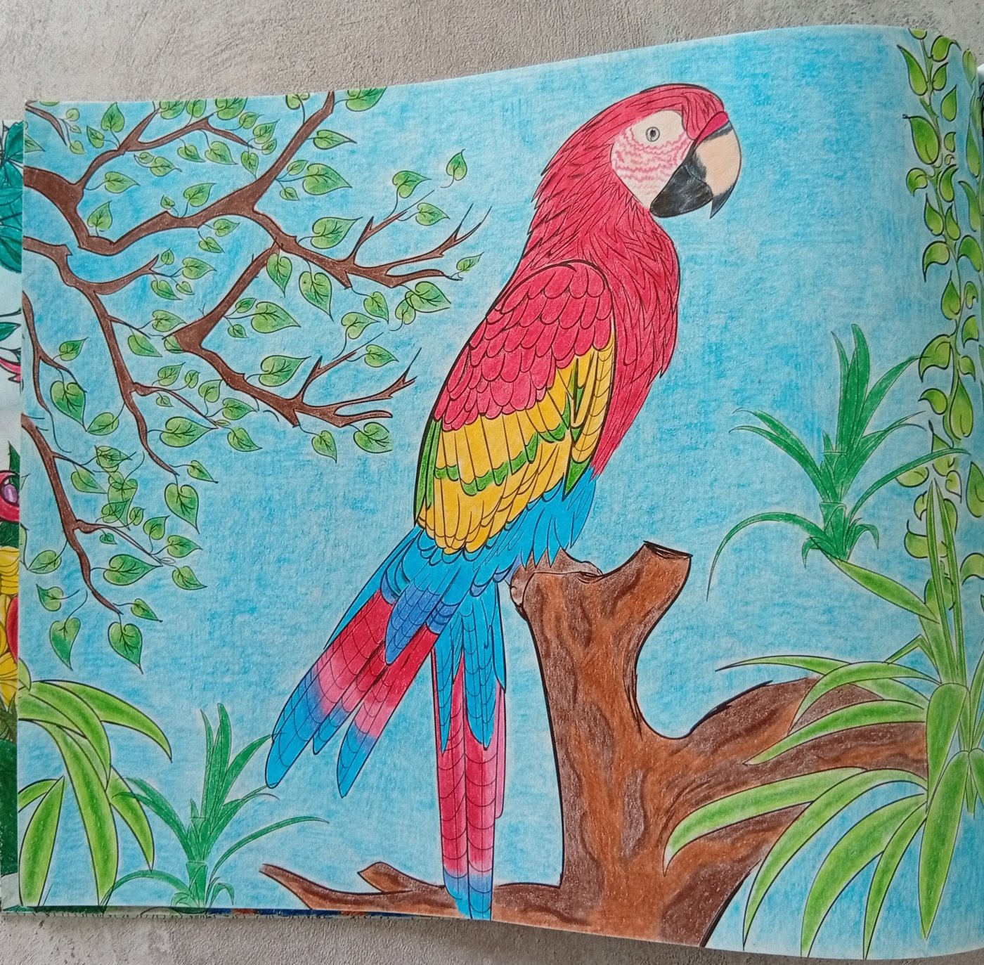 Работа от Эльвира