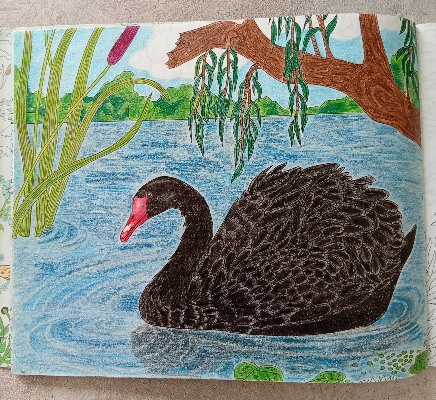 Работа от Эльвира