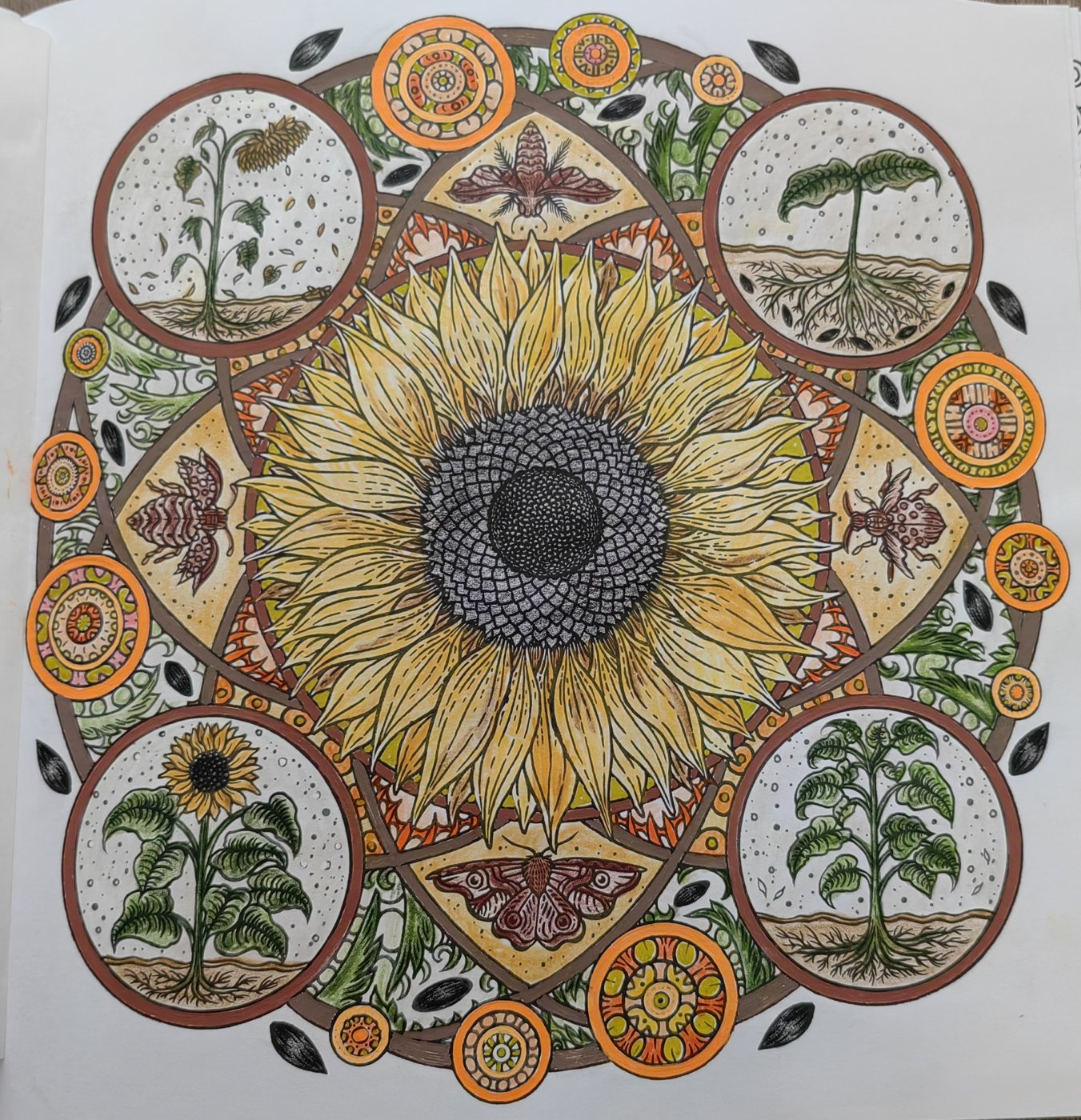 Работа от Гала