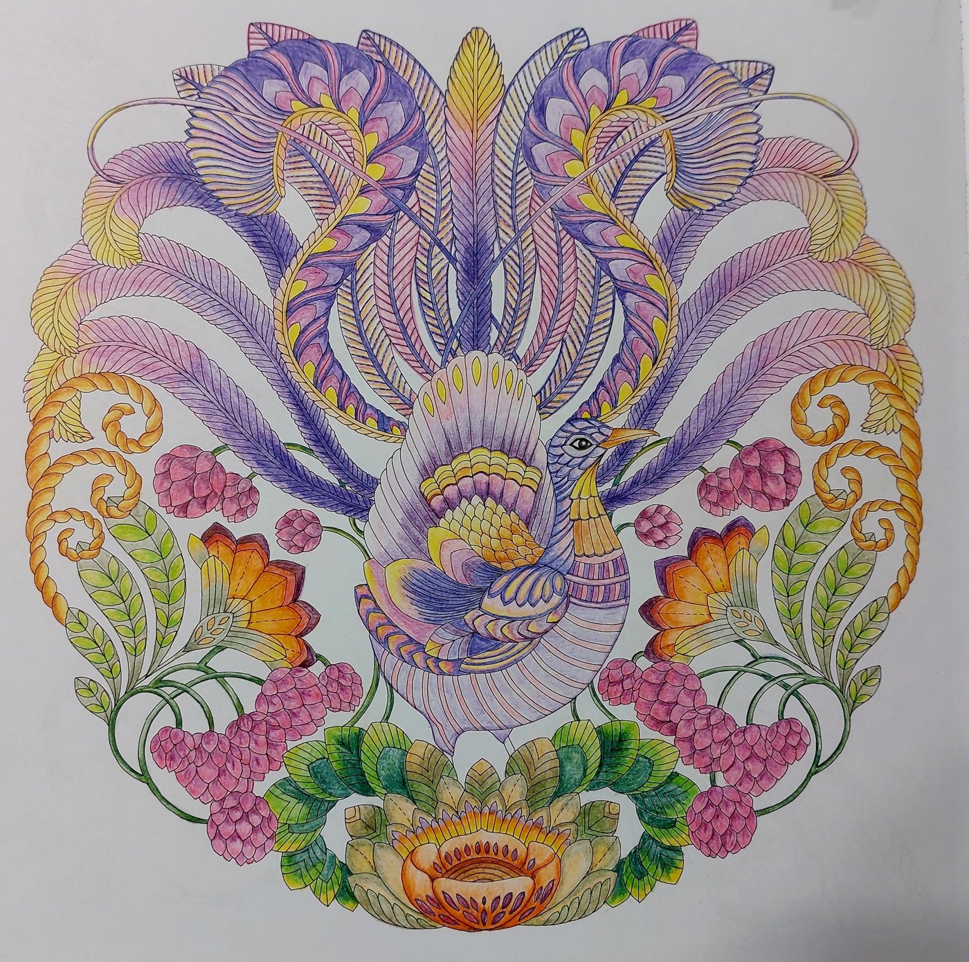 Работа от ElenaBas