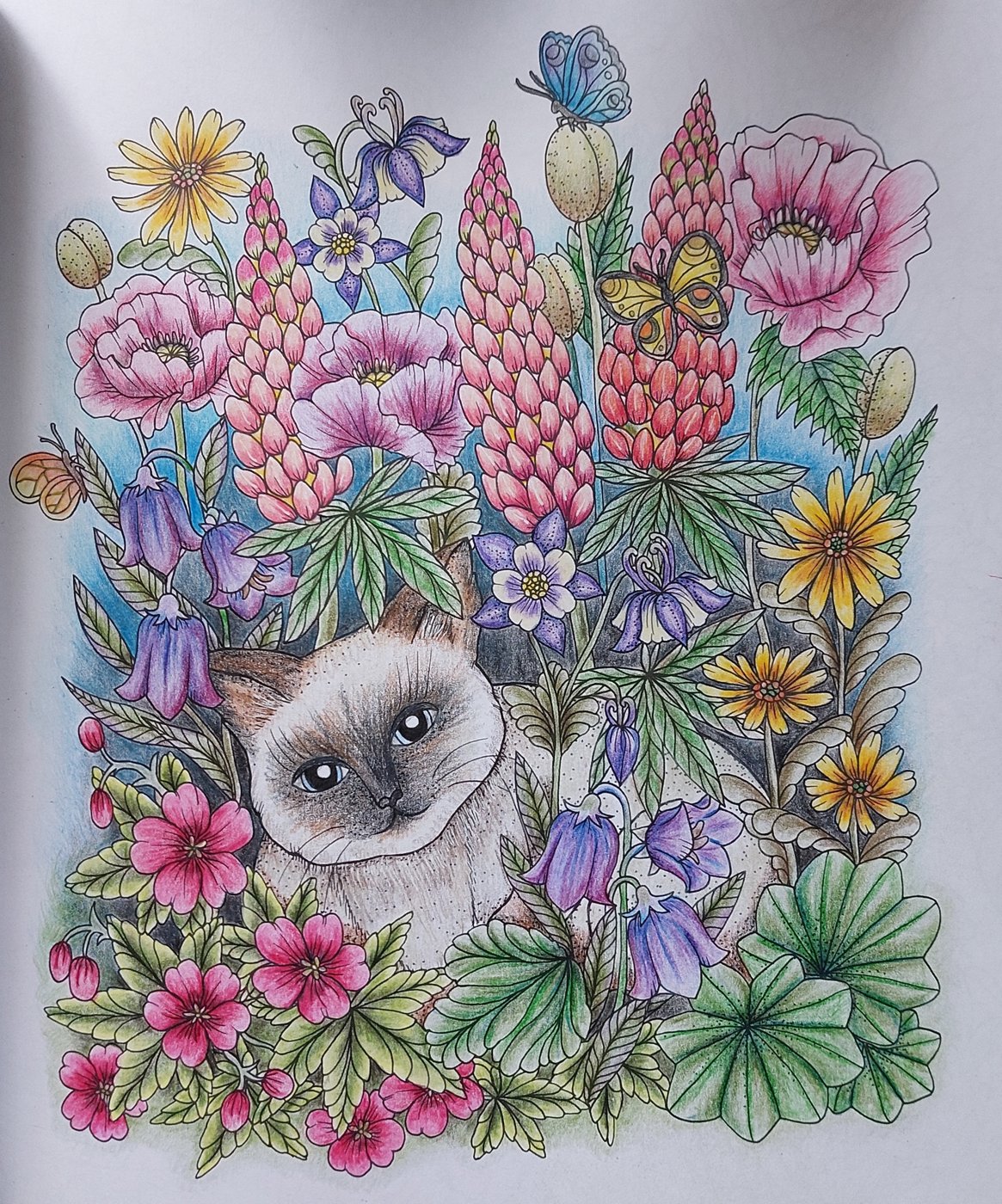 Работа от ElenaBas