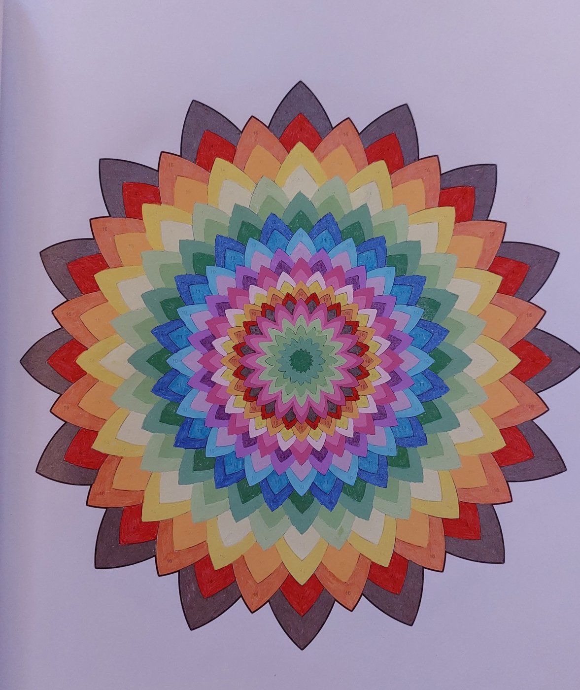 Работа от ElenaBas