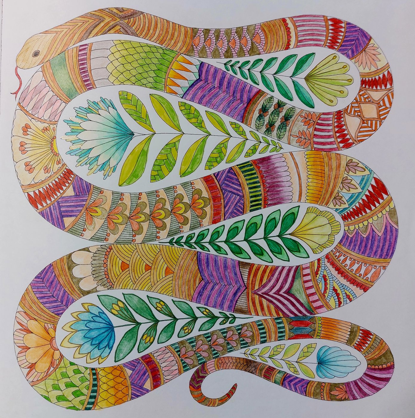 Работа от ElenaBas