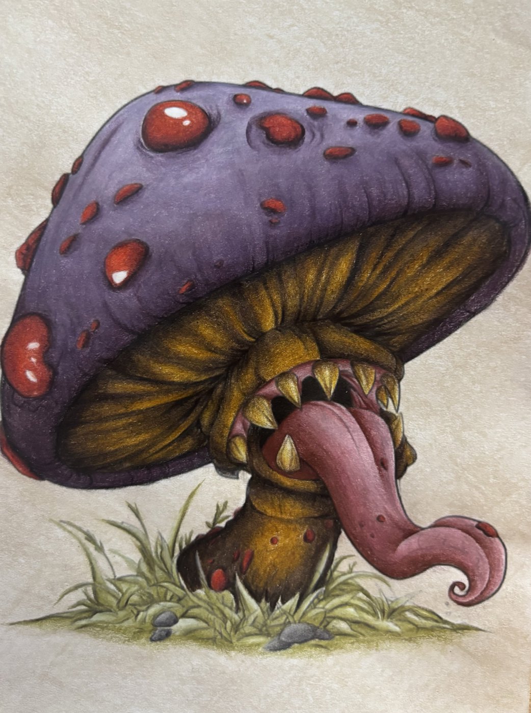 Работа от dashook