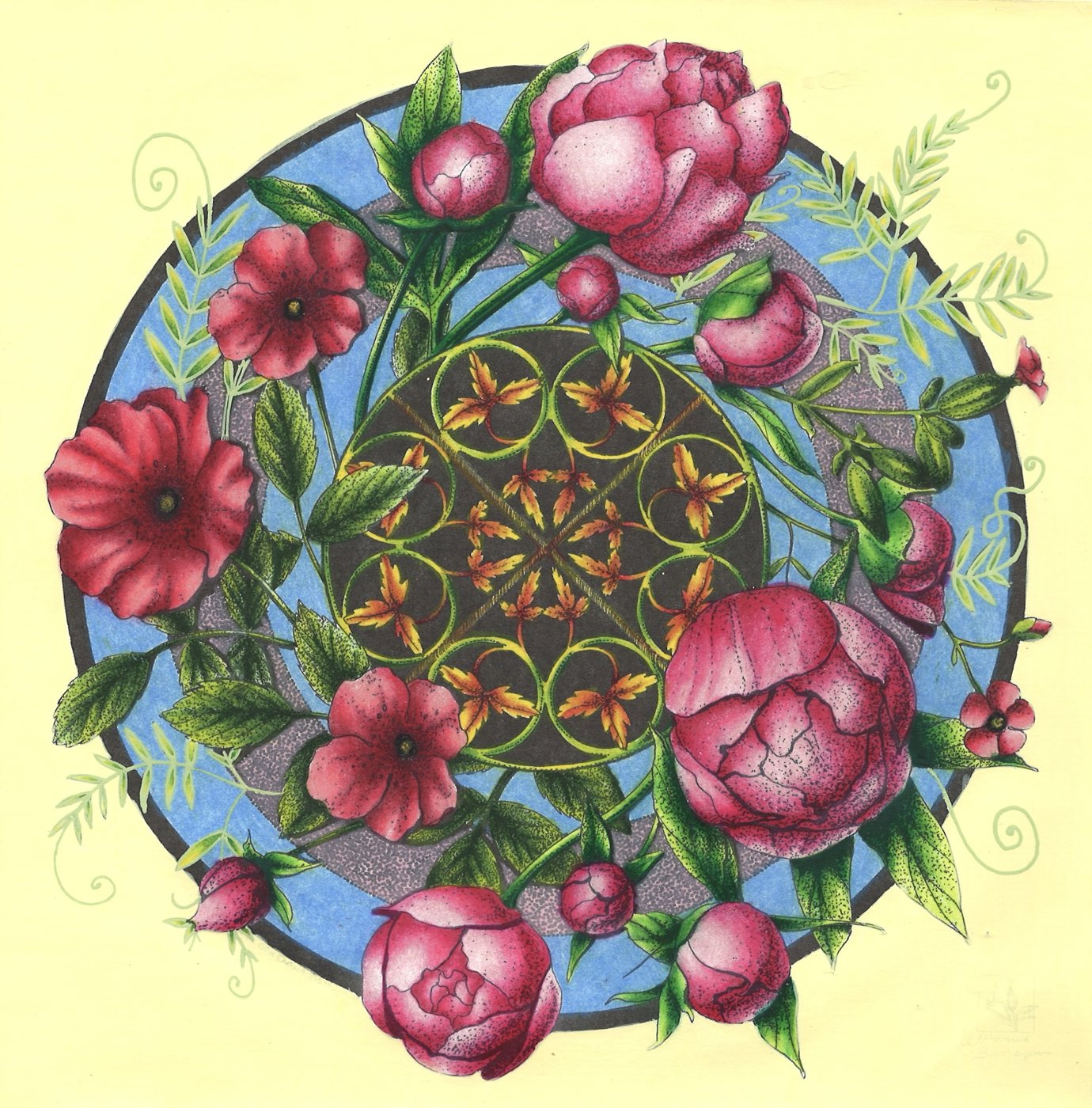 Работа от dashook