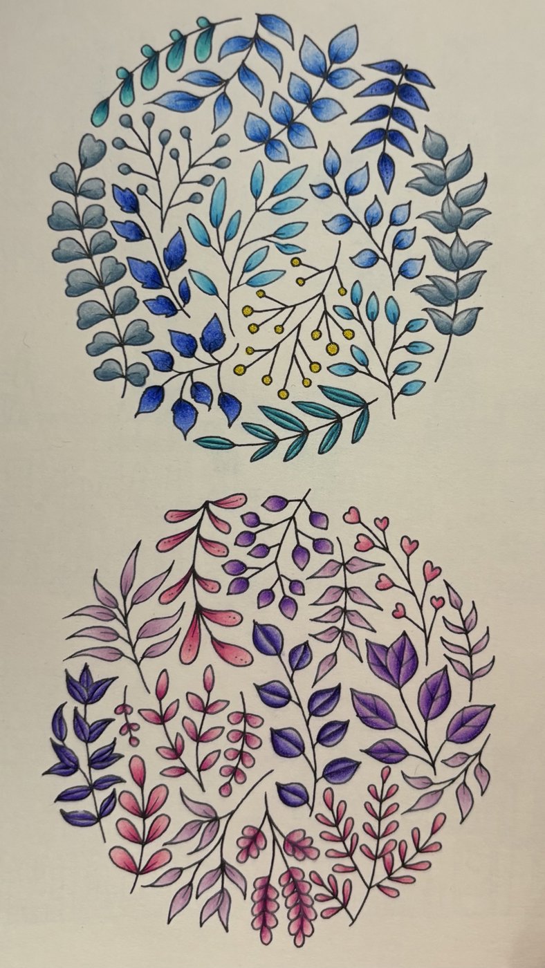 Работа от dashook