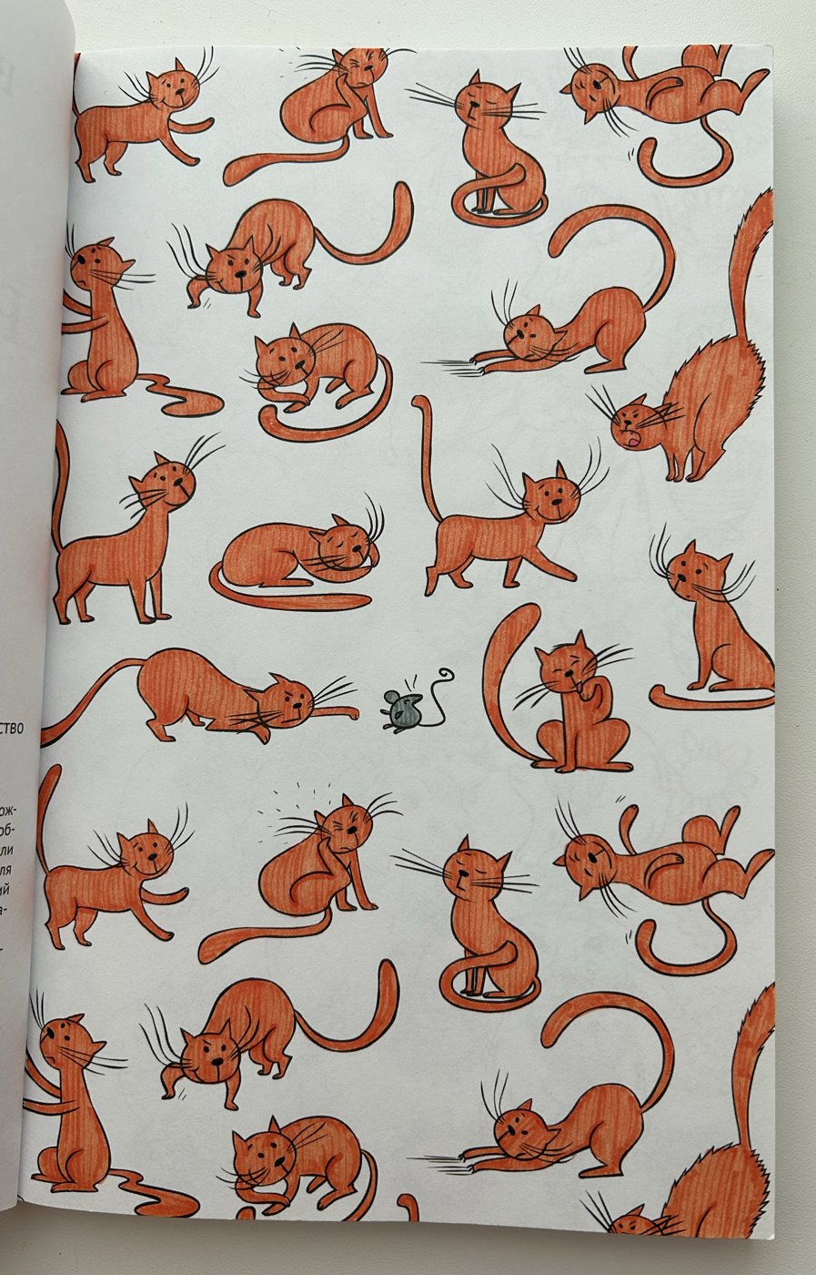 Работа от Ксения Кленова