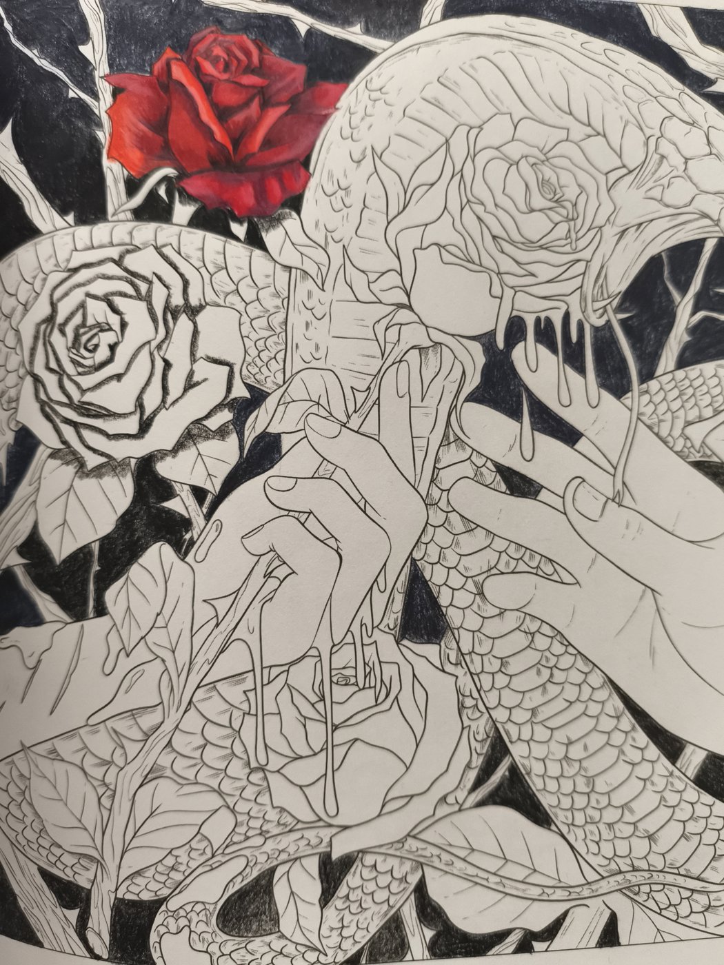 Работа от КраскиРаскраски