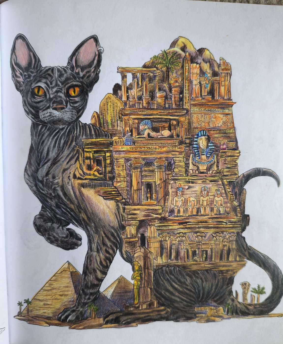 Работа от КраскиРаскраски