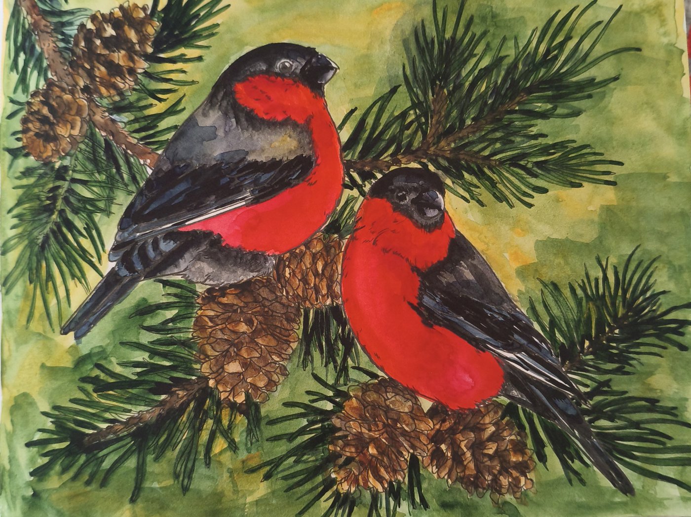 Работа от КраскиРаскраски