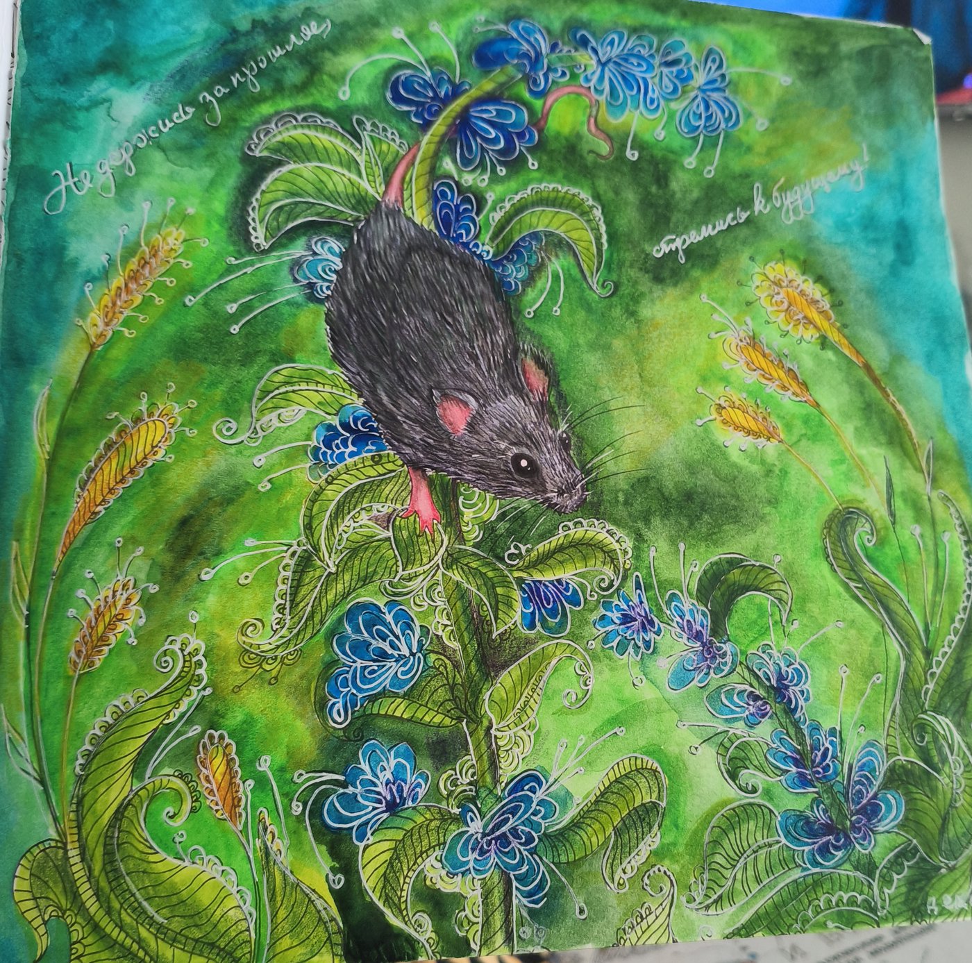 Работа от КраскиРаскраски