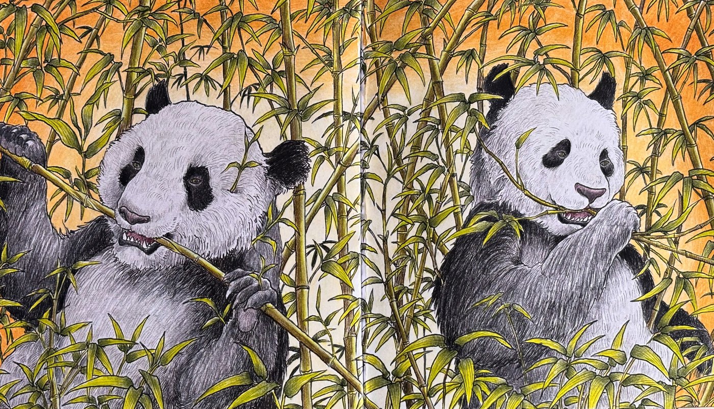 Работа от Denushka