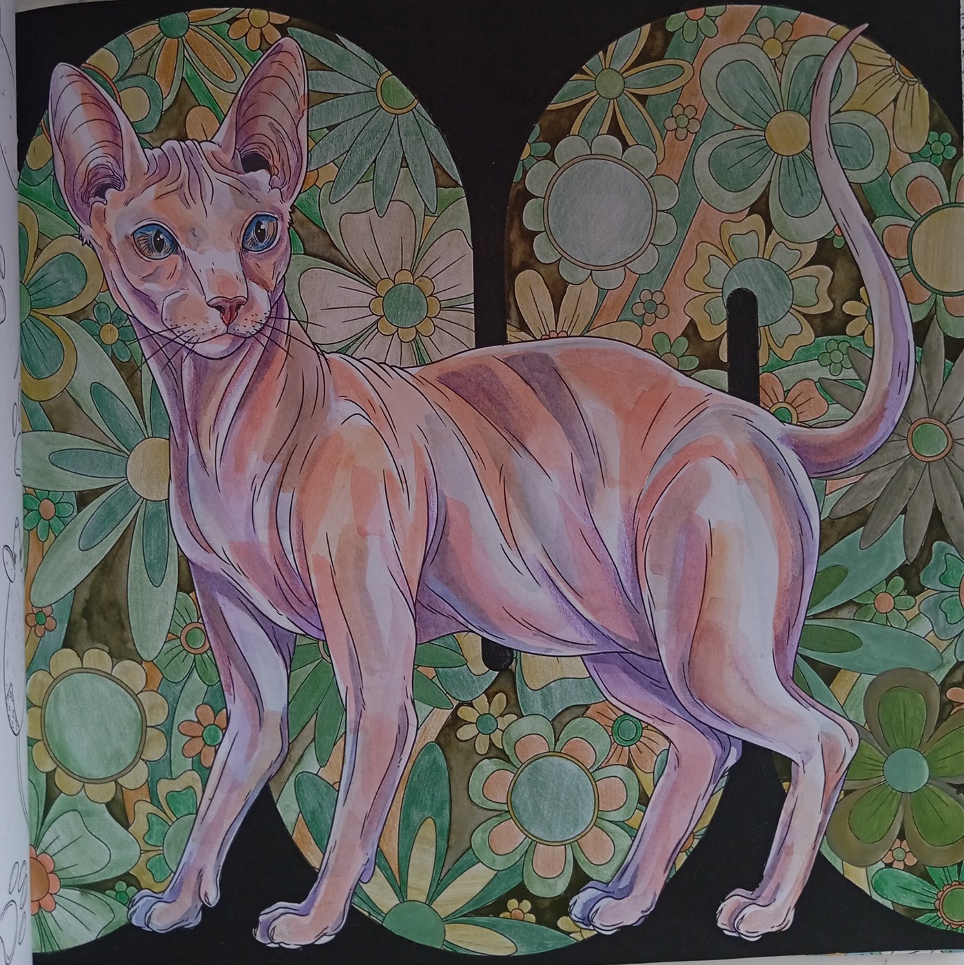 Работа от Darya_Zhuk