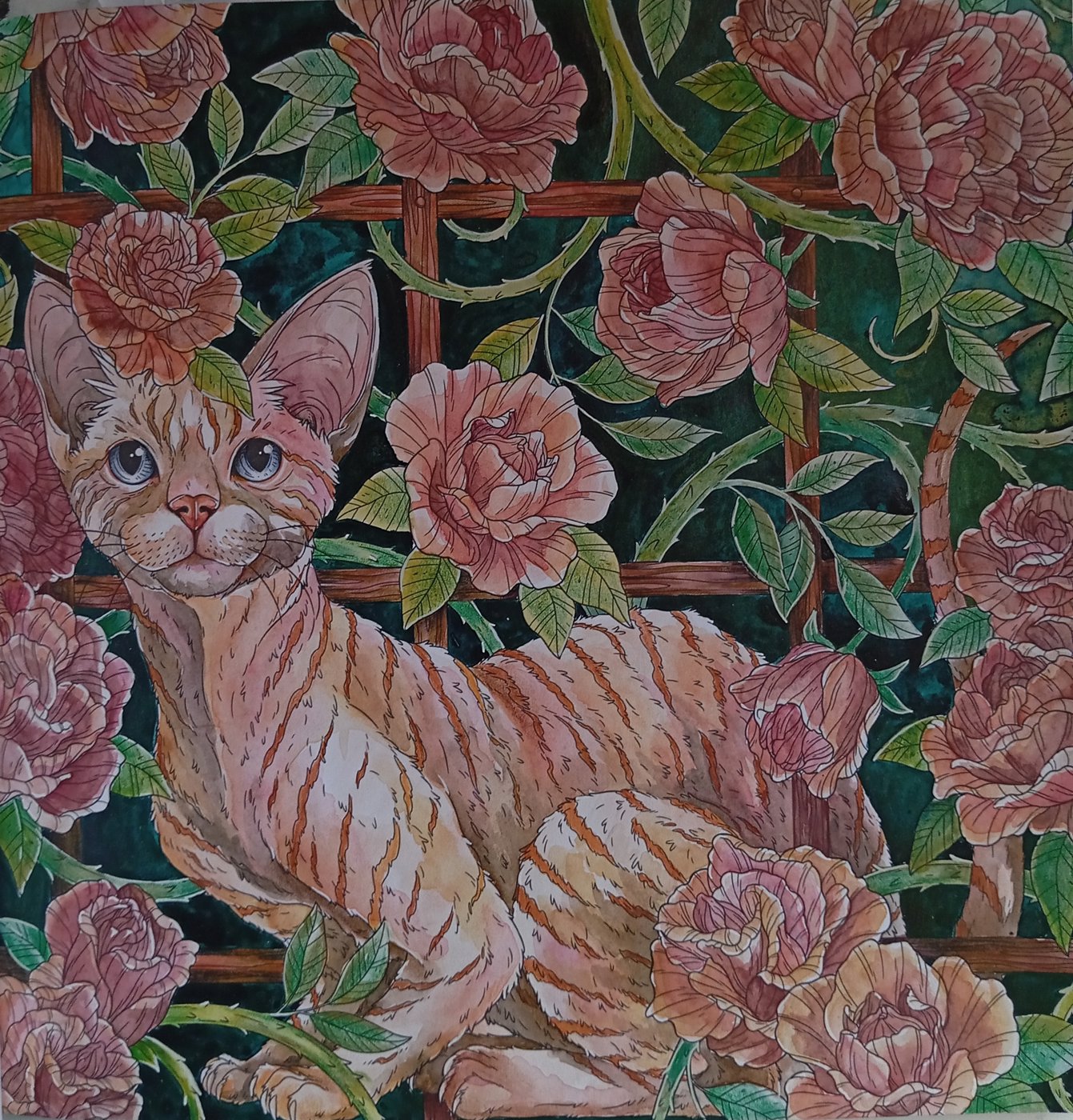 Работа от Darya_Zhuk