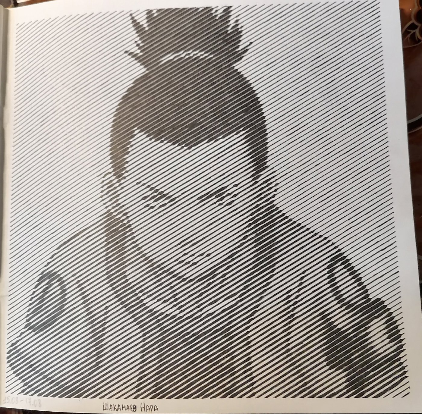 Работа от миечка