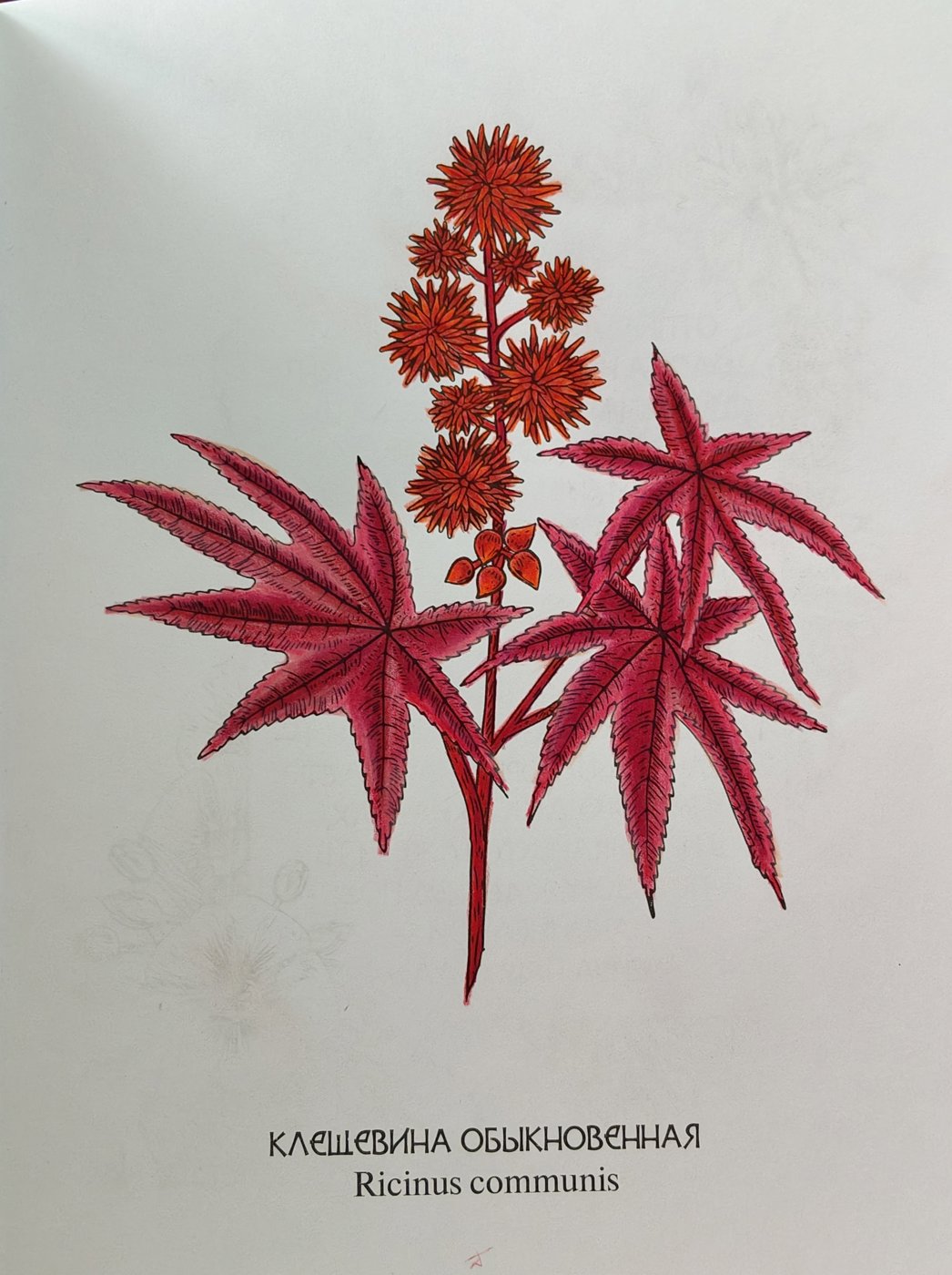 Работа от Alifira