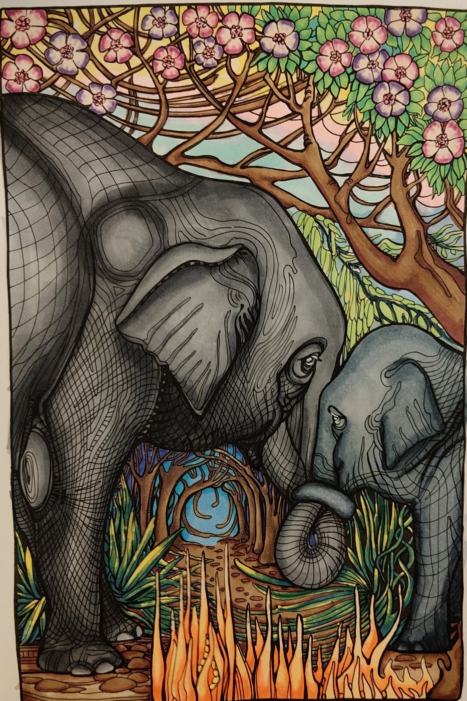 Слоны от Alifira