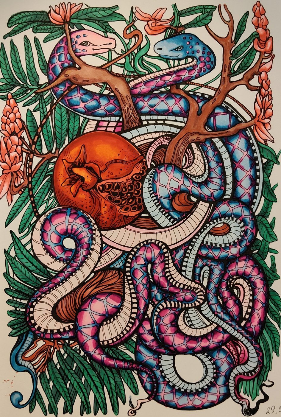 Змеи от Alifira