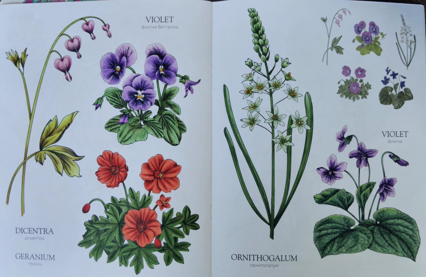 Работа от Alifira (2/2)