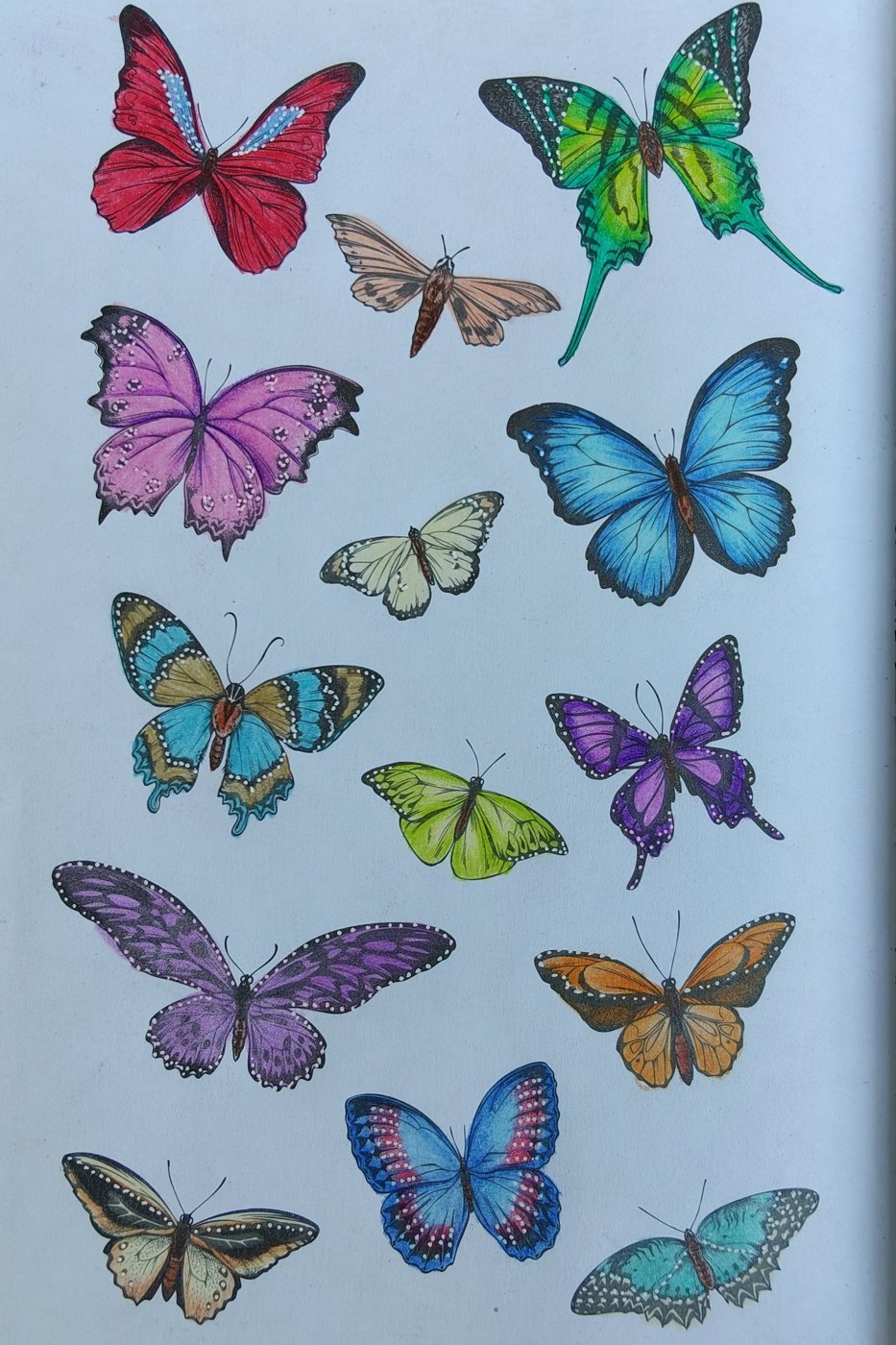 Работа от Alifira