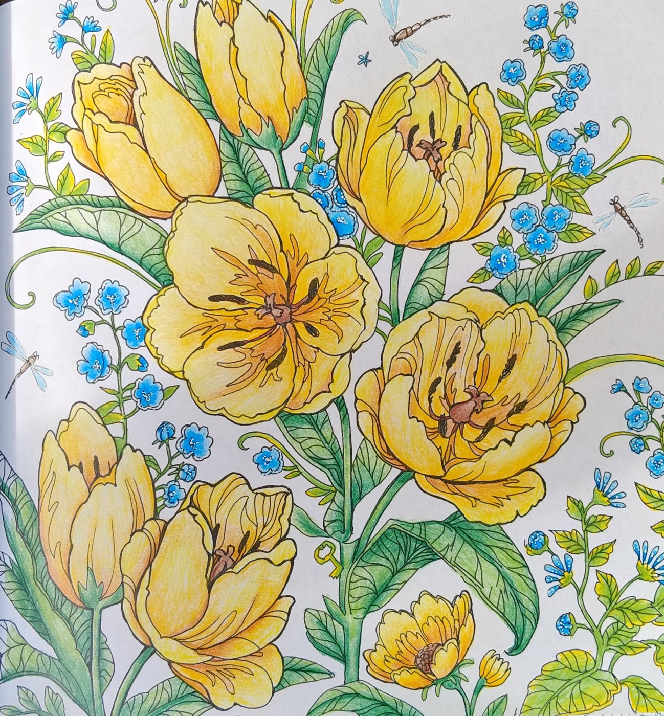 Работа от Alifira