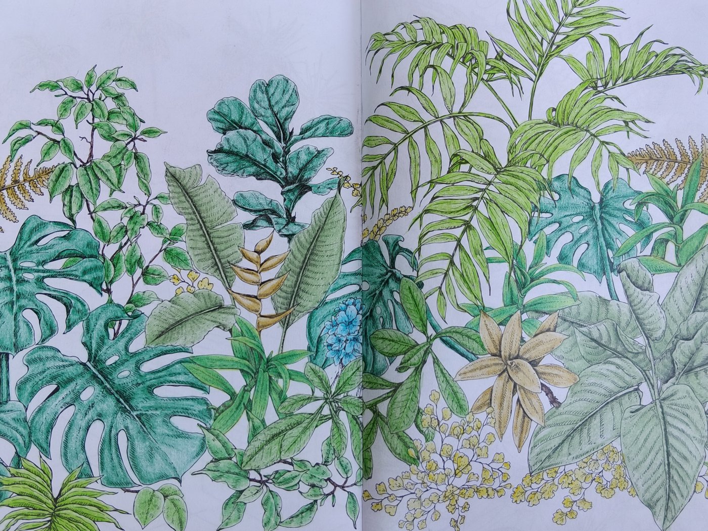 Работа от Alifira