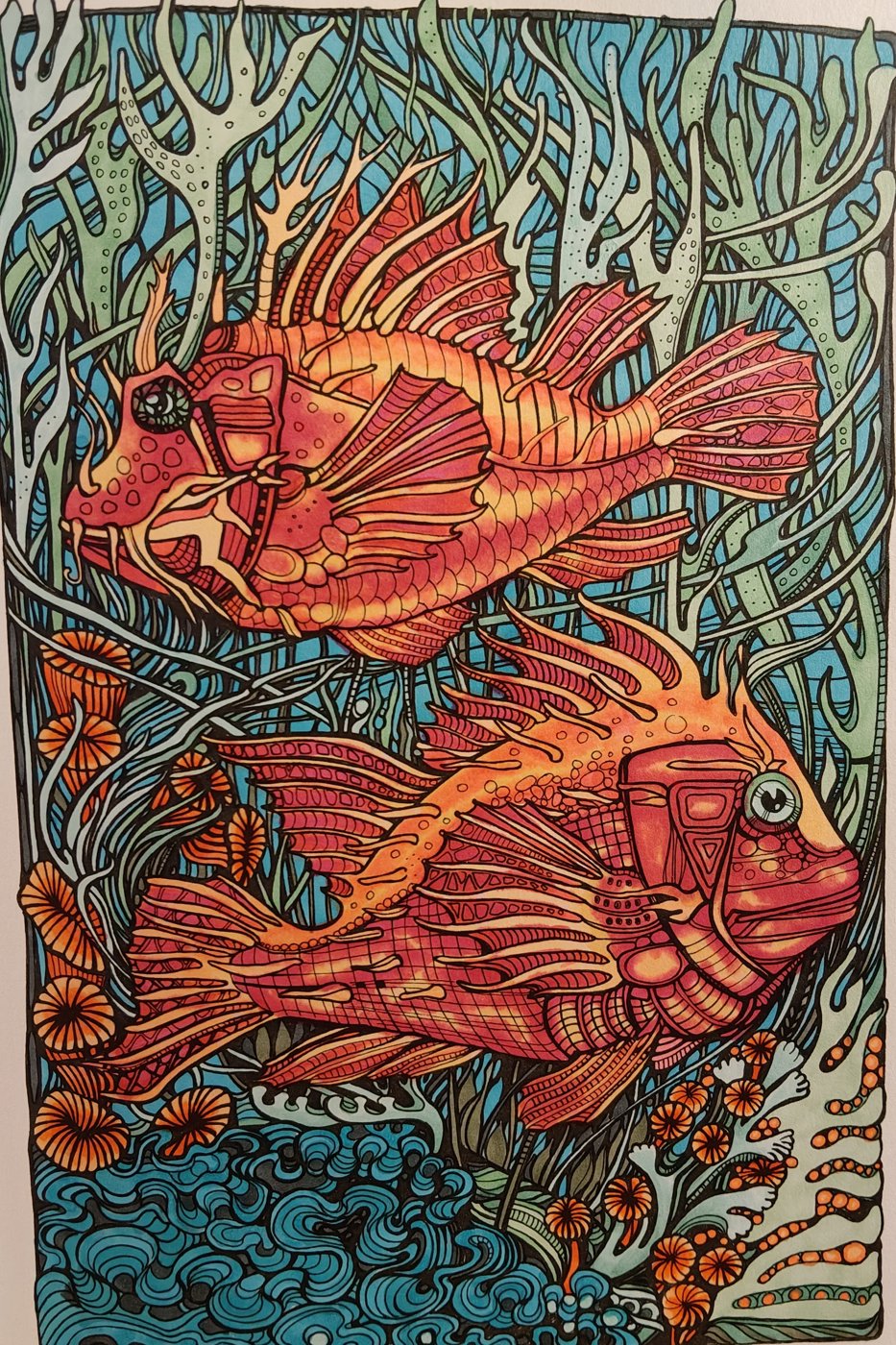 Рыбки от Alifira