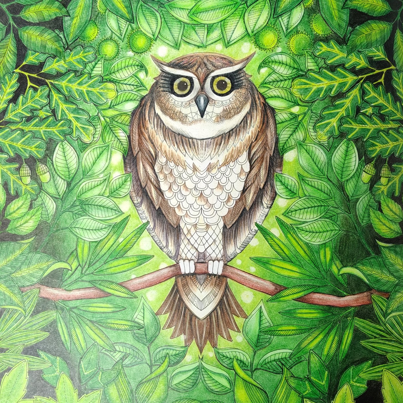 Работа от Alifira