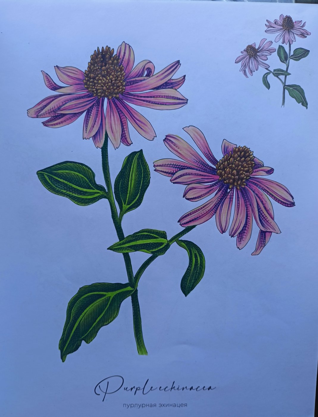 Работа от Alifira