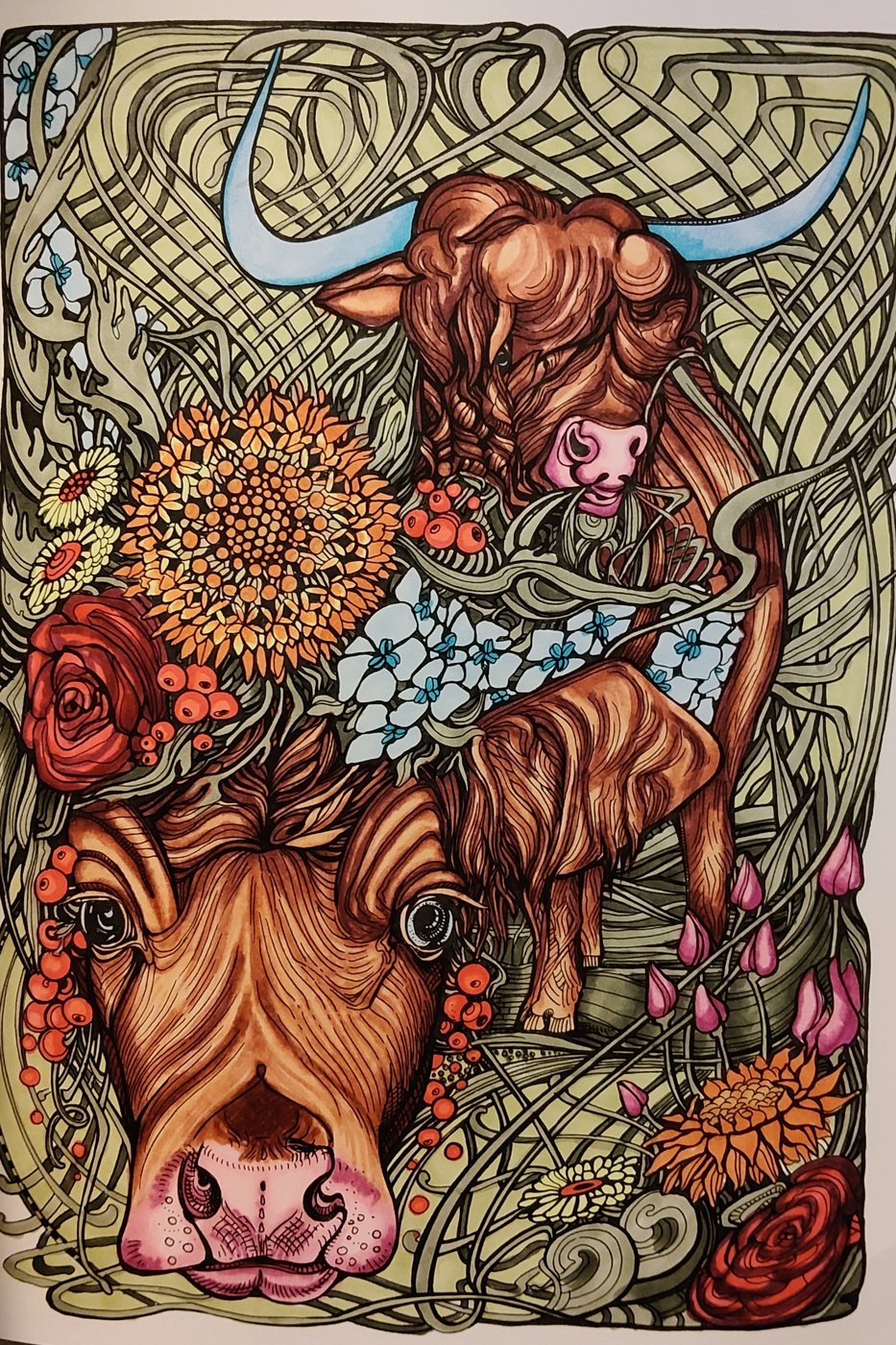 Коровы от Alifira