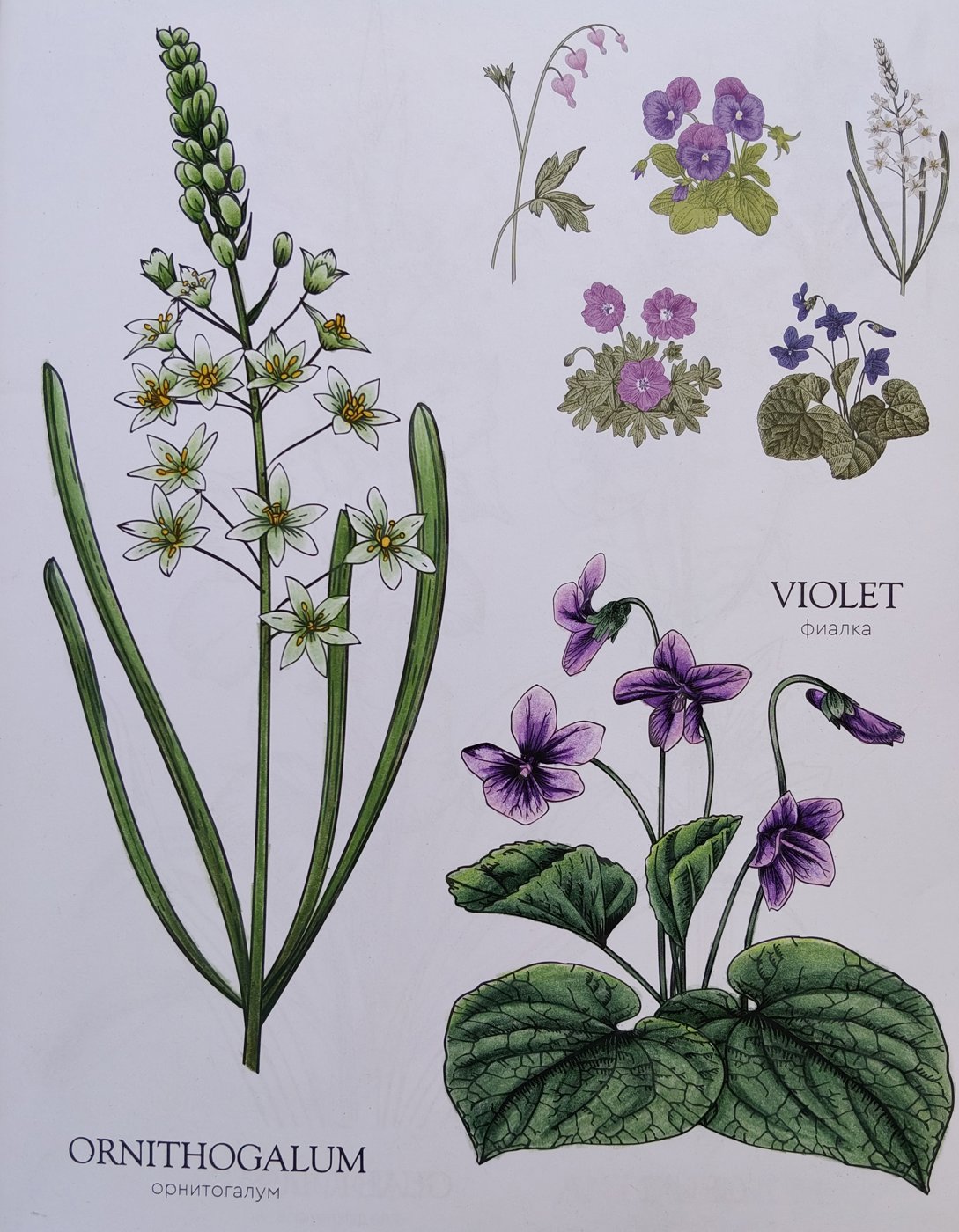 Работа от Alifira