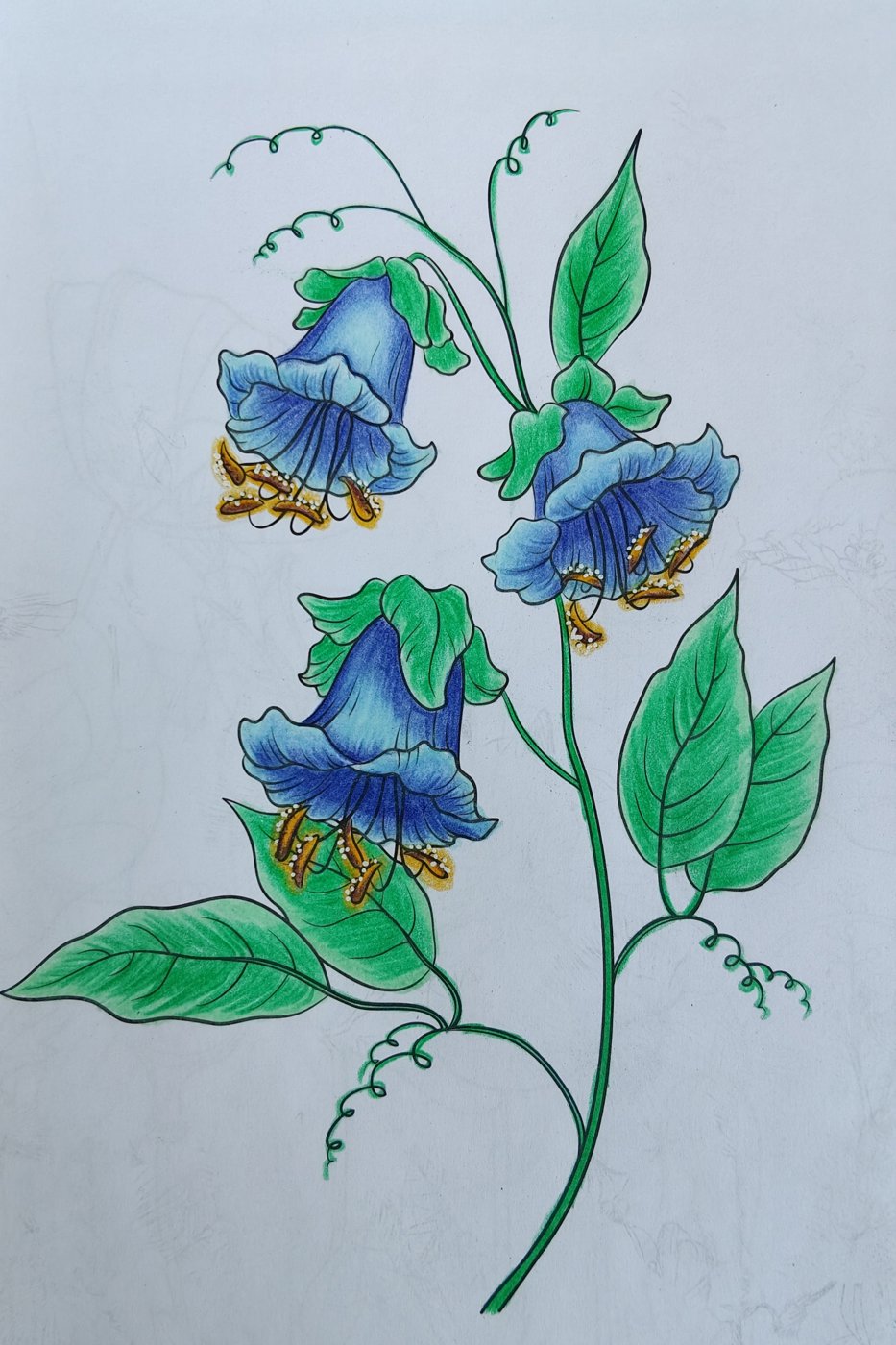 Работа от Alifira