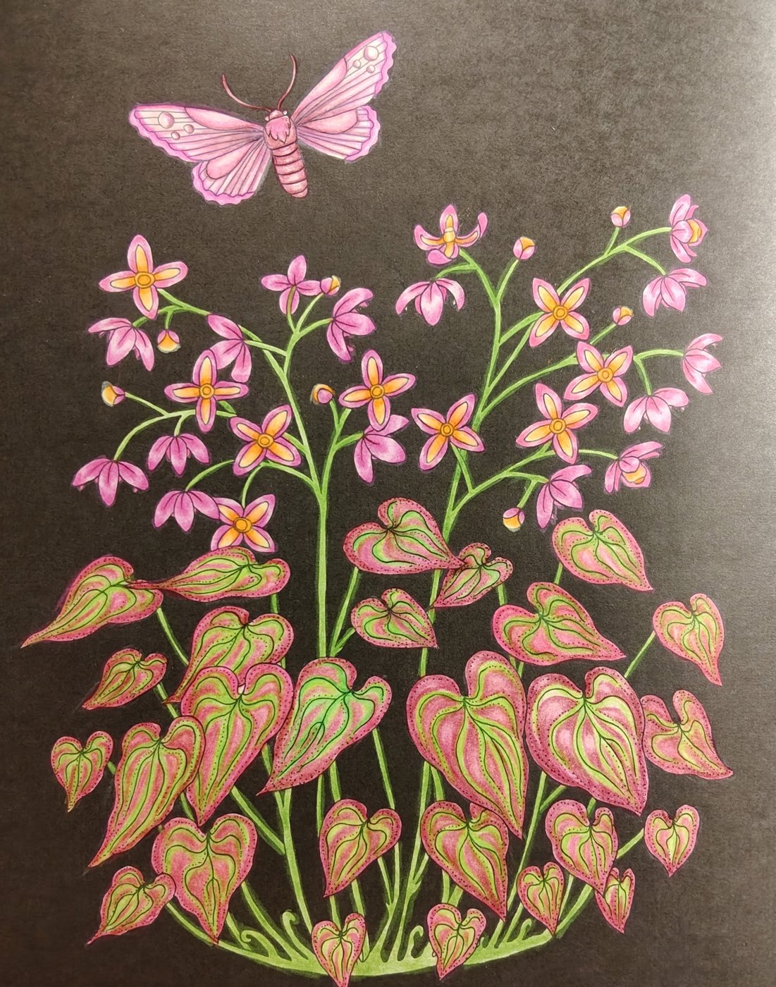 Работа от Alifira