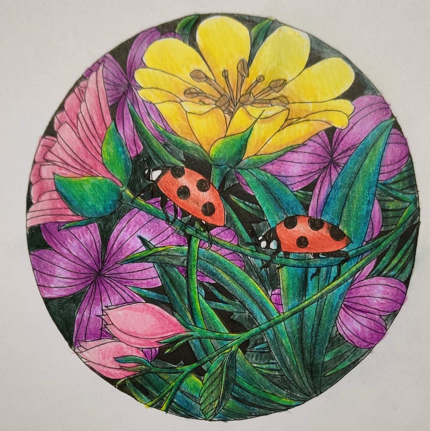 Работа от Eihaz