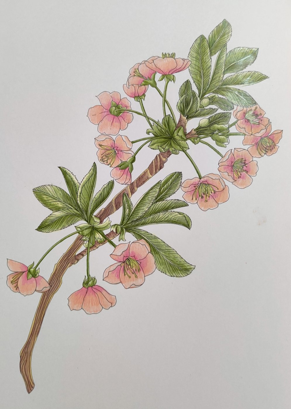 Работа от Eihaz