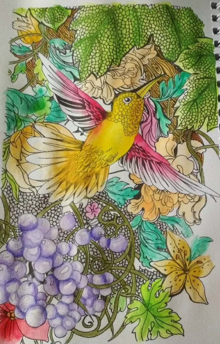 Птичка и виноград от VikaS