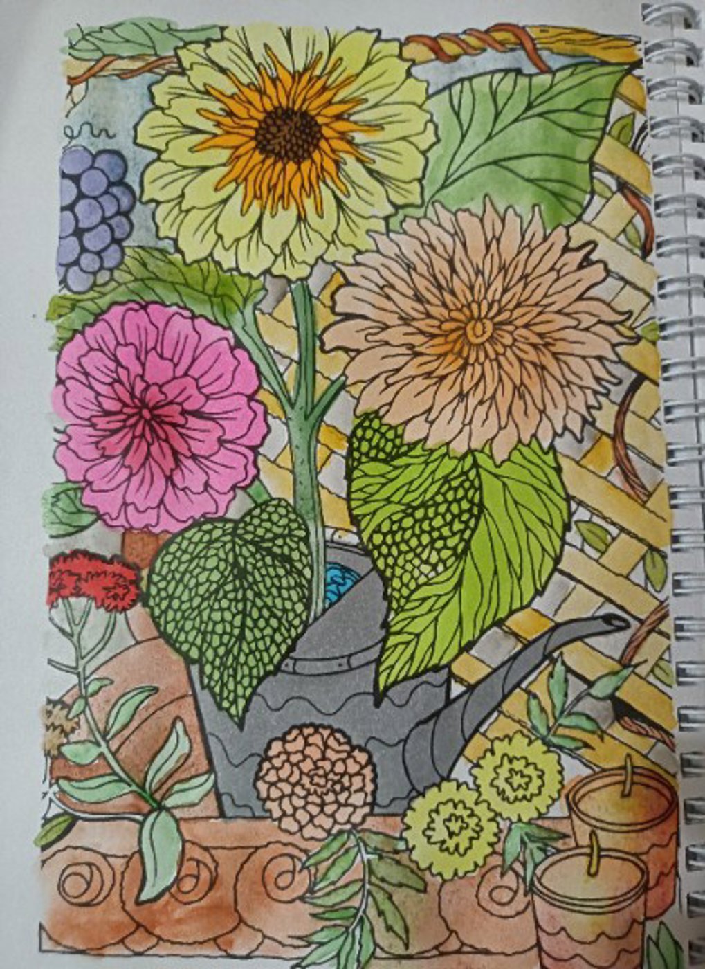 Цветы от VikaS