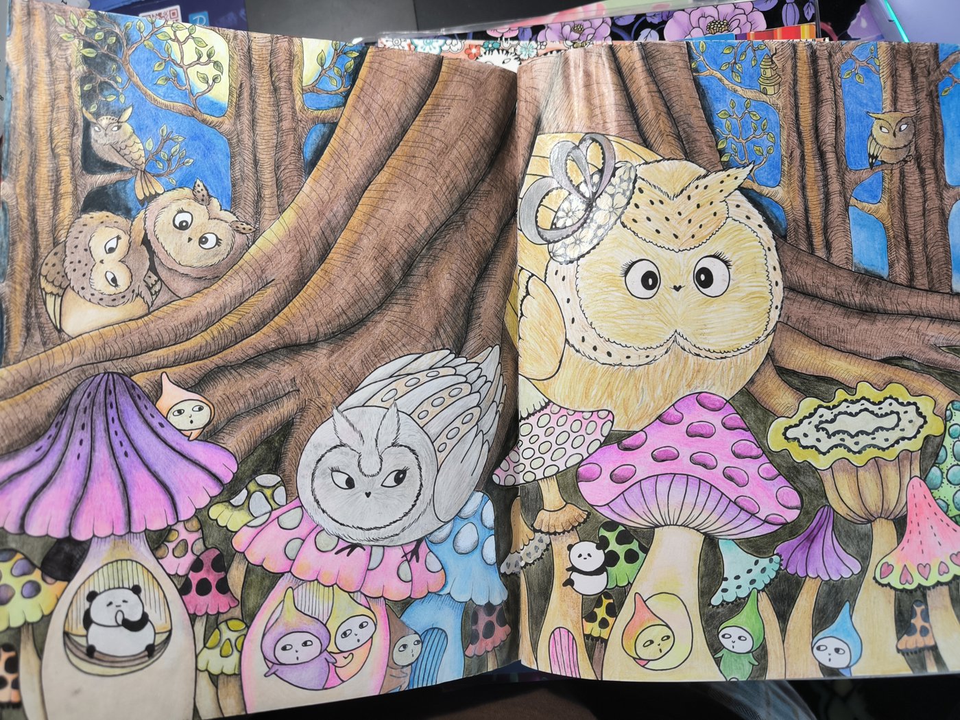 Грибы от VikaS