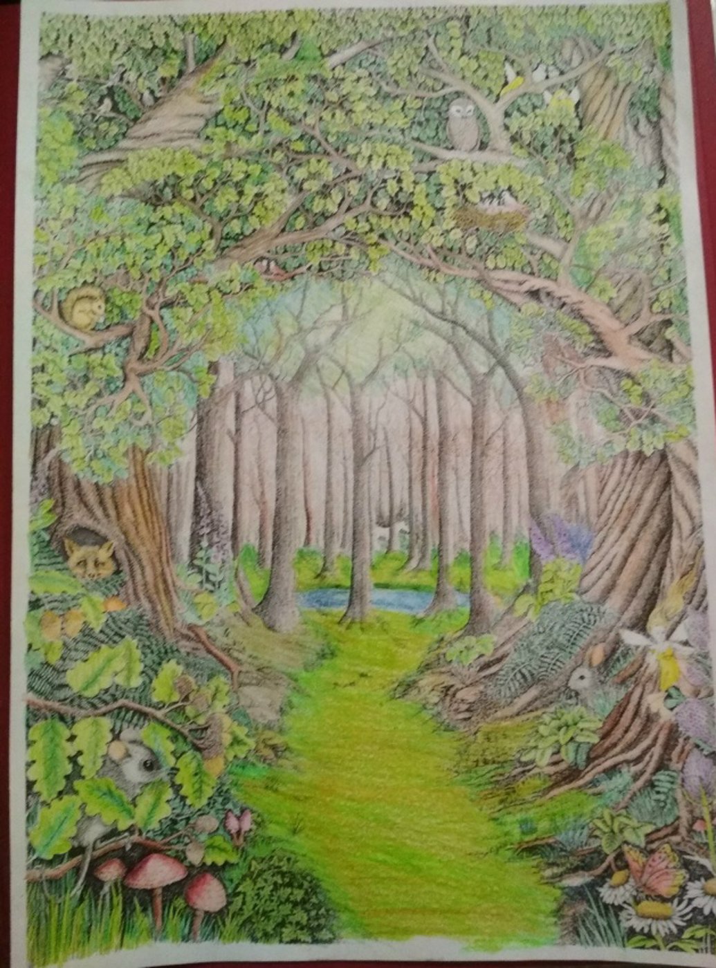 Природа от VikaS