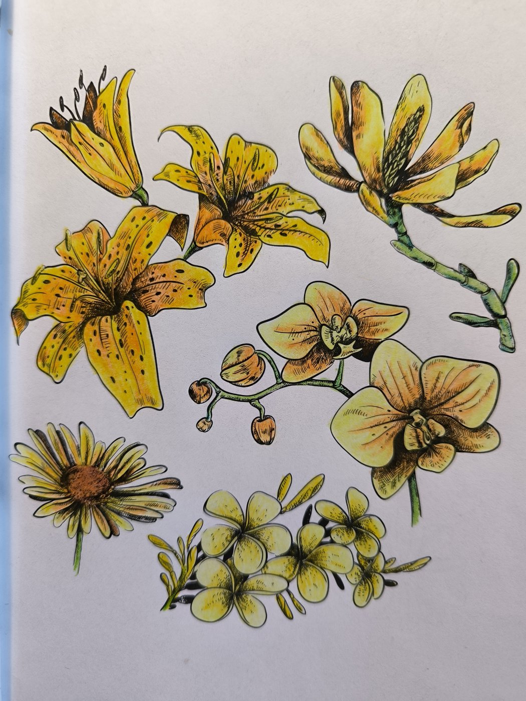 Жёлтые цветы от VikaS